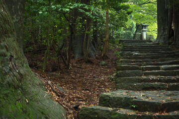 和歌山県 大門坂 新緑