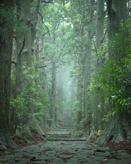 和歌山県 大門坂 新緑
