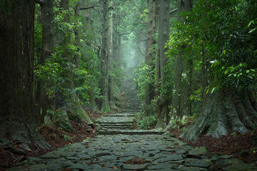 和歌山県 大門坂 新緑