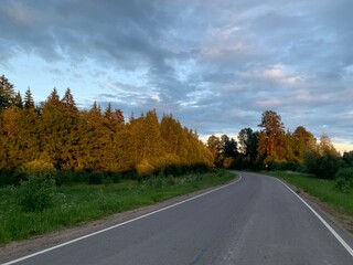 road in forest 