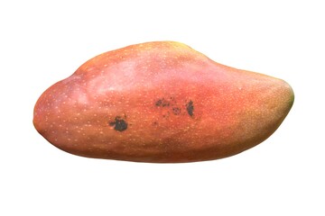 3d illustration Big pink mango isolated on white