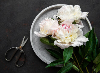 Peony flowers on a black concrete background