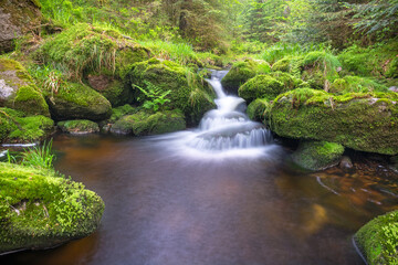 Idyllischer Bergbach im Schwarzwald, Baden-Württemberg, Deutschland © Jürgen Humbert