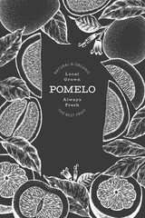 Hand drawn sketch style pomelo banner. Organic fresh fruit vector illustration on chalk board. Retro fruit design template