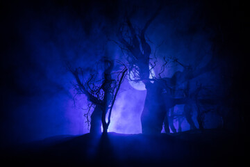 Spooky dark landscape showing silhouettes of trees in the swamp on misty night. Night mysterious landscape in cold tones - silhouettes of the bare tree branches against the full moon