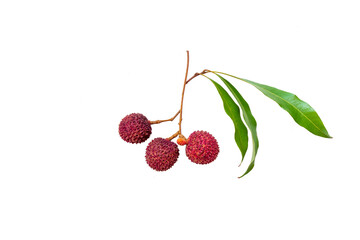 Fresh lychees on white background:isolated