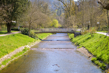 River flowing through a park in spring with waterbirds