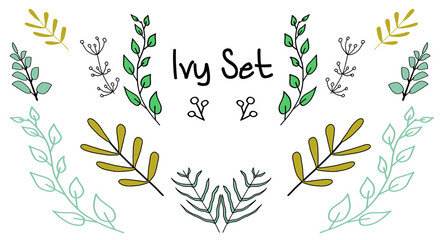 Set of Colorful Ivy in Comic Style