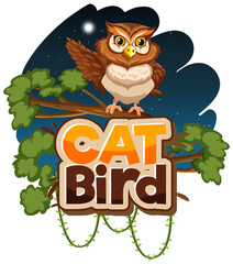 Owl cartoon character at night scene with Cat Bird font banner isolated