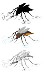 Set of mosquito in silhouette and colour and doodle