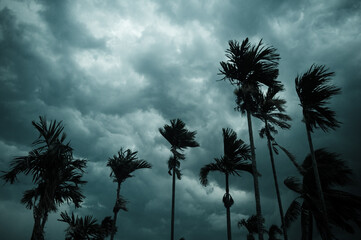 Thick dark black heavy storm clouds covered summer sunset sky horizon. Gale speed wind blowing over...