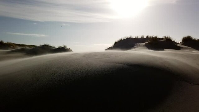 Strong wind in the dunes of Amrum blowing sand towards camera, 1080p HD video footage, camera panning left