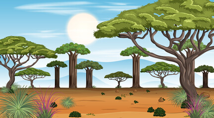 African Savanna forest landscape scene at day time