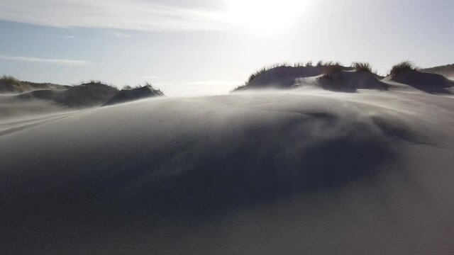 Strong wind in the dunes of Amrum blowing sand towards camera, 1080p HD video footage