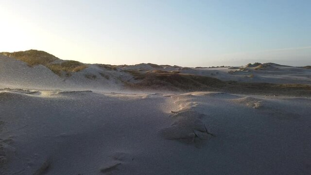 Strong wind in the dunes of Amrum moving reeds camera moving upwards and panning right towards Amrum lighthouse, 1080p HD video footage