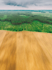 Aerial View Of Field And Deforestation Area Zone Landscape. Top View Of Field And Green Pine Forest...