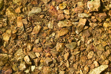 Natural background. The golden bottom of the brook.