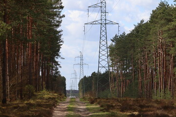 high voltage power grid in the forest