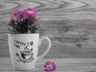 Pink Flowers in the Cup