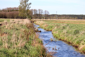 ditch with water in the meadow