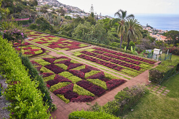 Botanical garden Jardim botanico in Funchal, Madeira island, Portugal.