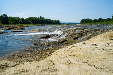 多摩川　風景　青空と緑