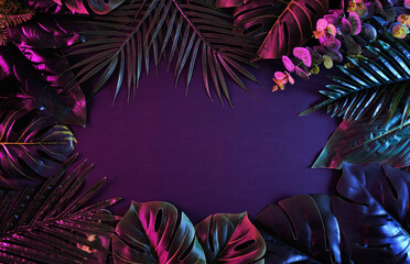 Surreal moody frame with vivid tropical plants. Modern and trendy retro concept.