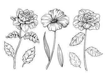 花の線画イラスト素材セット