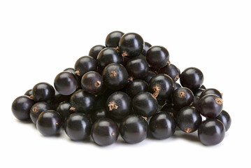 Black Currant close up isolated on white