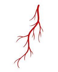 Human veins. Red silhouette vessel, arteries or capillaries on white background. Concept anatomy element for medical science. Vector isolated symbol of blood system