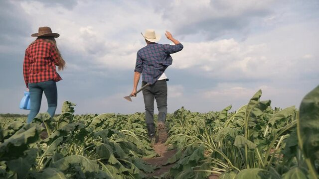 Agriculture. Farmer family in a green field. Organic food concept. Agriculture and business. Family of farmer inspecting the harvest. agriculture organic food. Farmer family business concept.