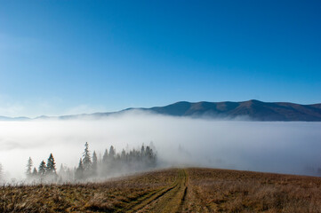 Foggy Morning