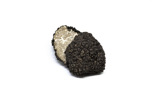 black truffle, tuber aestivum, white background