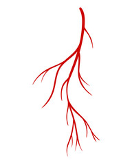 Human veins. Red silhouette vessel, arteries or capillaries on white background. Concept anatomy element for medical science. isolated symbol of blood system