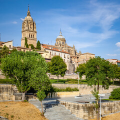 Obraz premium Park and Cathedral in Salamanca