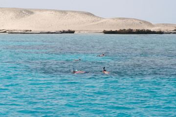 Snorkelers swimming in the water in Red sea