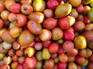selective focus on tomato(Solanum lycopersicum) in market