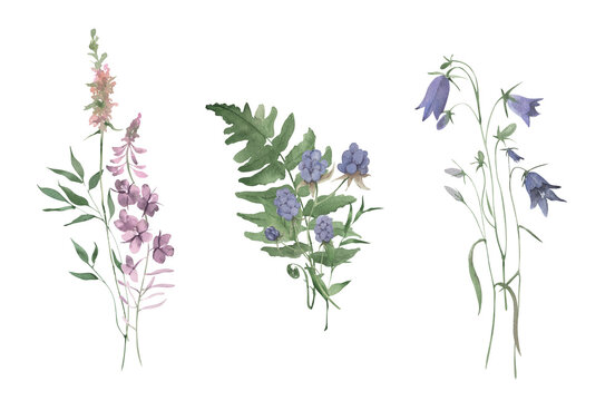 Watercolor hand drawn bouquets of wildflowers and herbs.