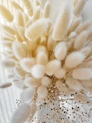 Dry flowers bouquet bunny rabbit tails grass dried lagurus ovatus in white vase on wooden desk beside window