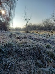 morning frozen 