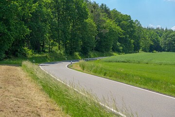 road curve in a german forest