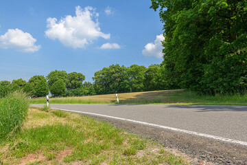 road in a german forest
