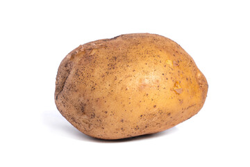 Fresh dirty potato isolated on white background, vegetable
