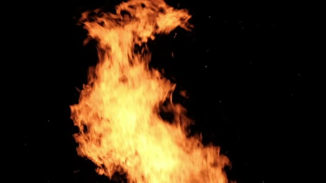 Fire Flames on a Black Background in Slow Motion. Real burnfire ignites on a black background. Fire sparks and flying embers on a dark background. Raging Campfire Flames. Bonfire Burning at Night.