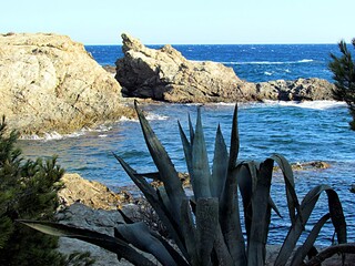 bord de mer