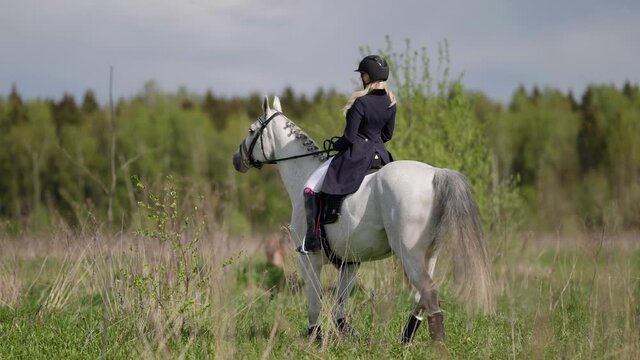 walk with horse at nature, professional horse rider woman is sitting on white stallion