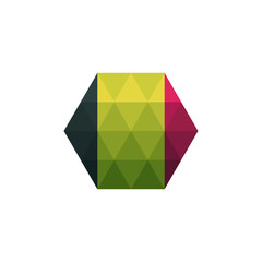 Design flag Belgium hexagon vector