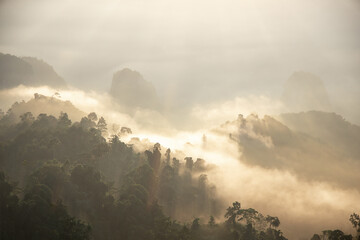 sunrise in the mountains , sea ​​of ​​fog , 
Doi Ta Pang  - Thailand
