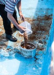 Pool reinigen säubern altes Wasser in Eimer umfüllen