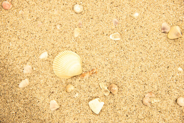 Vintage and retro toning of tropical beach with blue sky and clear sea which including of a wooden umbrella and chair in sunrise time with vintage retro tone. Vacation time as concept.	